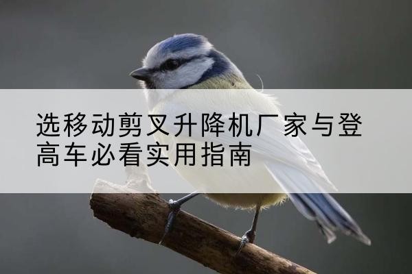 岚县电动升降机厂家-选移动剪叉升降机厂家与登高车必看实用指南