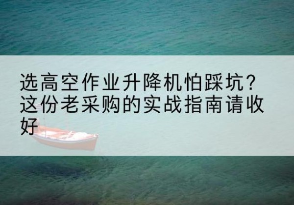 岚县高空作业升降机厂家推荐-选高空作业升降机怕踩坑？这份老采购的实战指南请收好
