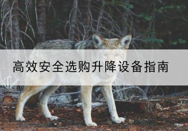 岚县升降货梯厂家推荐-*安全选购升降设备指南