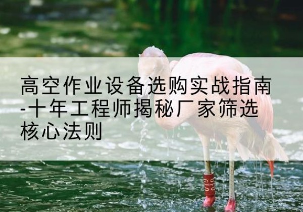 岚县剪叉式升降机厂家-高空作业设备选购实战指南-十年工程师揭秘厂家筛选核心法则