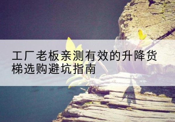 岚县升降货梯怎么选-工厂老板亲测有效的升降货梯选购避坑指南